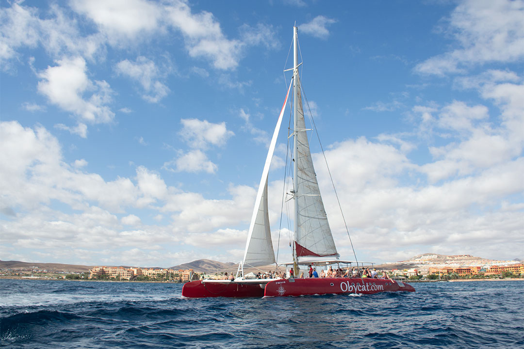 Catamaran tour in Caleta de Fuste